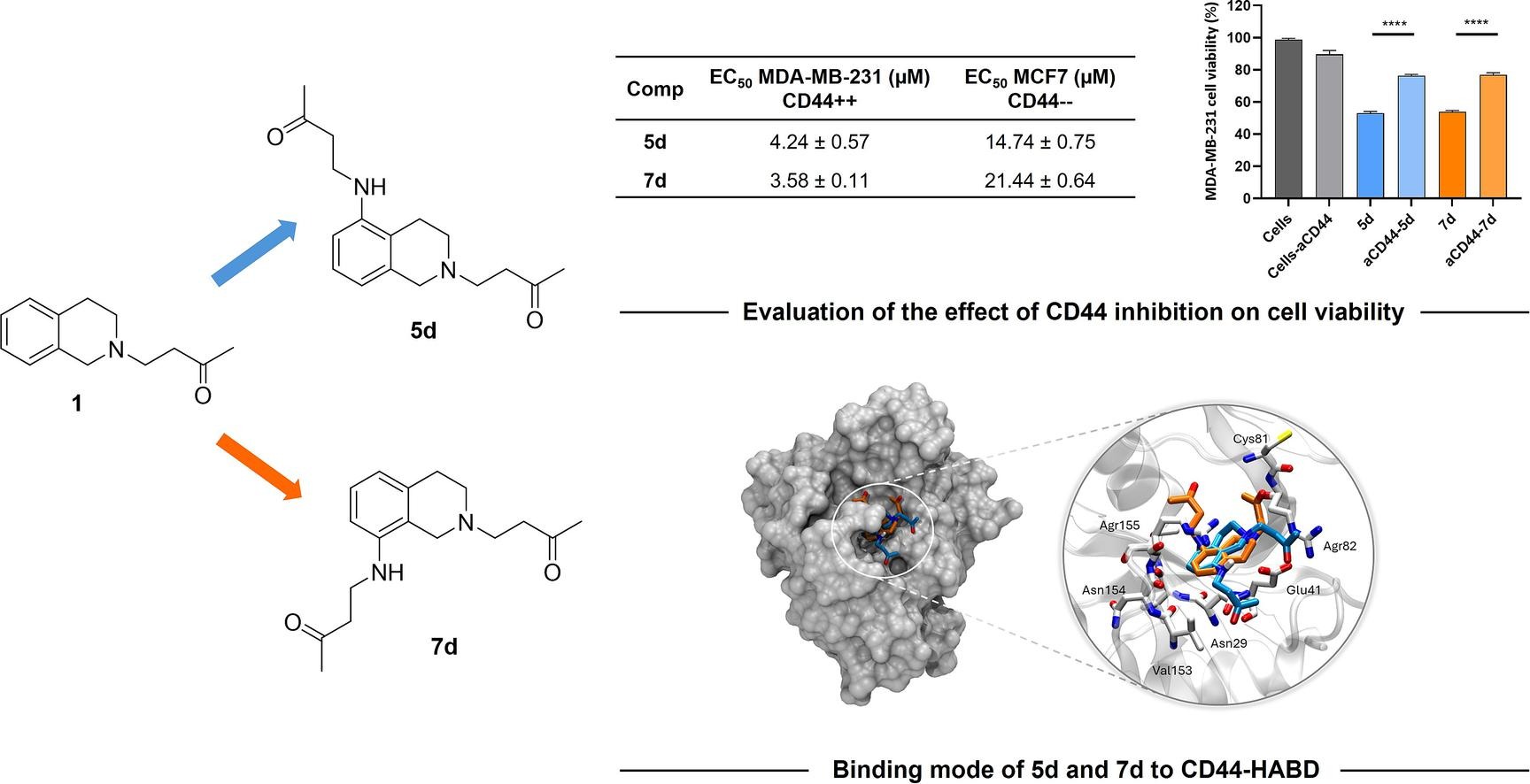 Synthesizing Potent CD44 Inhibitors with Promising Antitumor Activity