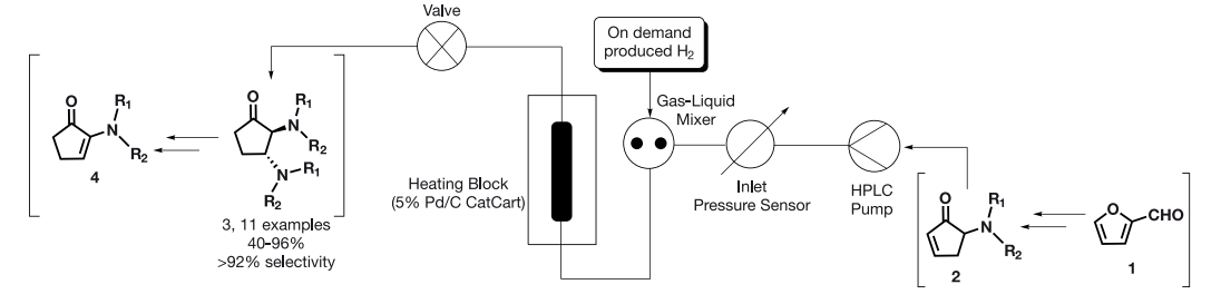 Valorization of Bio-based Raw Materials into Useful Petrochemistry Compounds